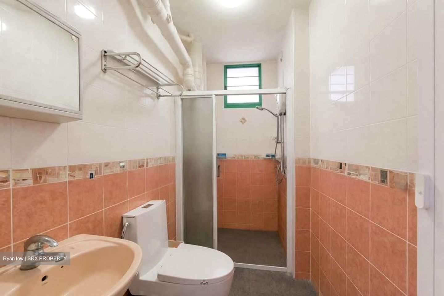 Blk 484 Segar Gardens (Bukit Panjang), HDB Executive #546537661